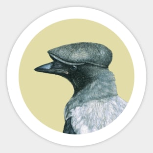 Hooded crow Sticker